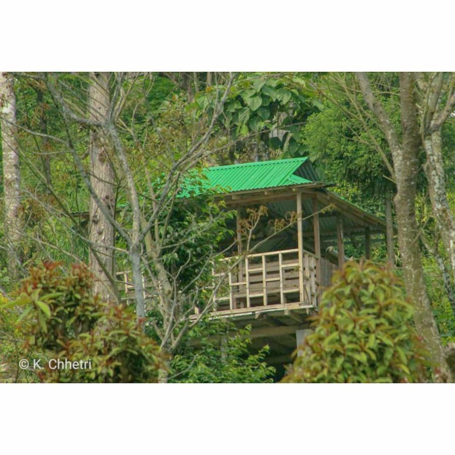 Suma Aavaas Farmstay Νταρτζίλινγκ Εξωτερικό φωτογραφία